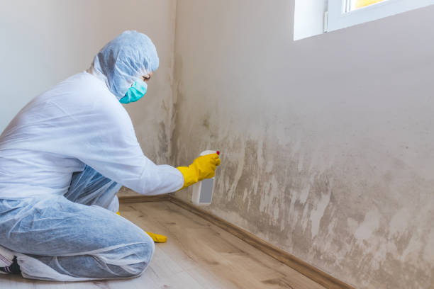 Hvac And Air Duct Mold Remediation inspection of HVAC system in Mineola